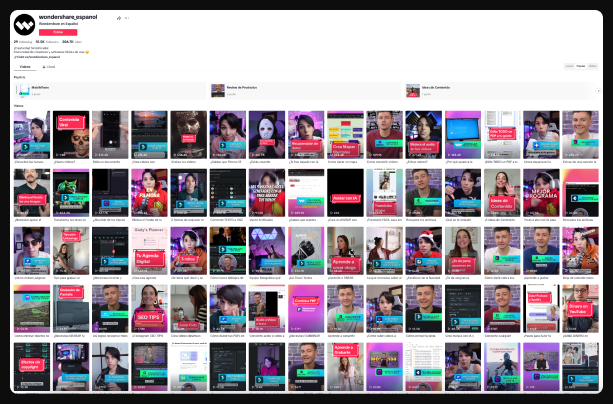 Wondershare Many Videos