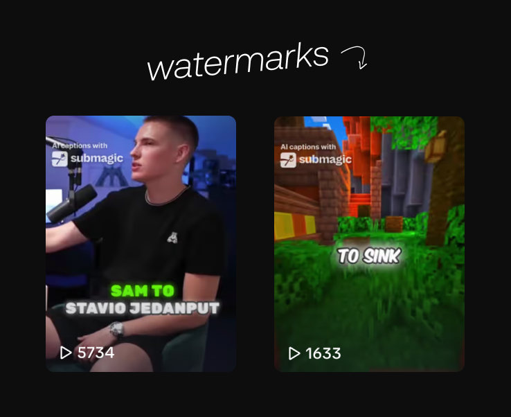 Submagic TikTok Video Watermark